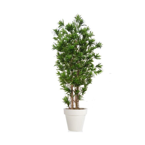 Planta semi-artificiala Ila, Dracaena Reflexa Multistep Green - 260 cm